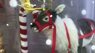Christmas കഴിഞ്ഞാലും വിശേഷങ്ങൾ തീരുന്നില്ലല്ലോ,   christmas gift കണ്ടാലോ @muthusstars