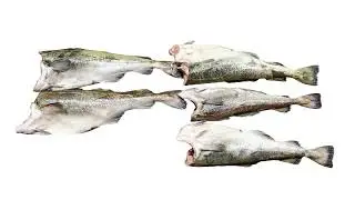 Треска ПБГ, Pacific cod, Gadus macrocephalus 太平洋鳕鱼, 太平洋鱈魚, マダラ Russian Fish