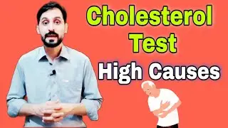 Cholesterol Test | Total Cholesterol Test | Blood Cholesterol Test | High Causes | Treatment