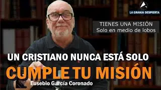 &iquest;TIENES UNA MISI&Oacute;N?: Solo en medio de lobos. #buscadoresespirituales