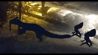 baojian et les dimoret ( pokemon in real life )