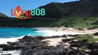 What's Up Weekend: Island-Style Holiday Escapes & Keiki Winter Adventures