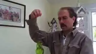How to: Assemble Your Spiral Hanging Water Garden