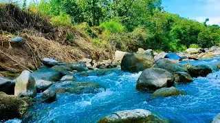 River Sounds – Crystal Water Flow for Mindfulness