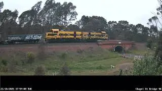SSR T386 T381 + Spoil and Grain Wagons Up - 21st Oct 2025