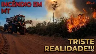 Incêndios em Mato grosso. triste realidade!