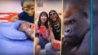Best of Eko Savage & Lekan King Kong (Year-End Compilation 2025) | Pt. 2