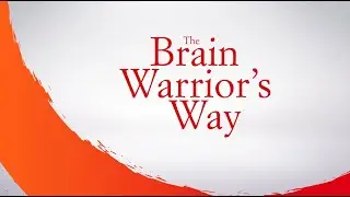 The Brain Warrior's Way - Book Review