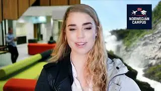 Why study in Norway? The education system