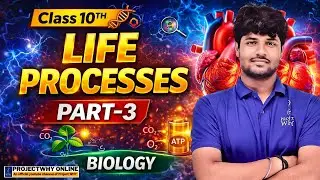 Life Processes | Part-3 | Class 10th Science | Deep Surya