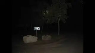 a warm welcome