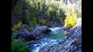 Rhythmic vibes👌| Powerful Uplifting Calming 😊music| Amazing Positive🤗 Vibe | Stress Busting sounds.