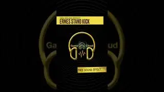 Ermes Stand Kick