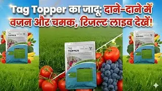 Tropical Agro Tag Topper: काम, कीमत और सही डोज | Full Review (Hindi) ।