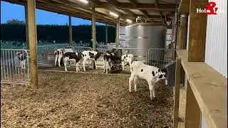 Robotic Feeding 24/7, 30 days in