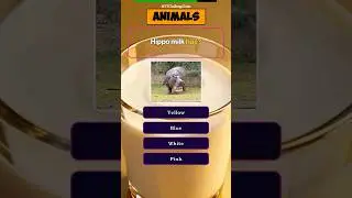 Animal Quiz: 99% of People Fail This🦁🚫 #shorts