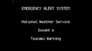 Tsunami Warning: Hawaii (2AM 3/11/11)