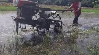 FLOODED RICE FIELDS MADE READY IN MINUTES WITH MODERN MACHINES! - Agriculture Farming