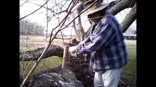 Short Test Intro.