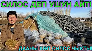 ЖАКШЫ БАСЫЛГАН СИЛОС ЧЫКТЫ 🤯#байтв 