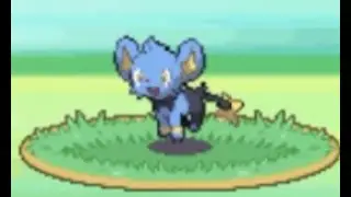 How to catch Shinx in Pokemon Platinum