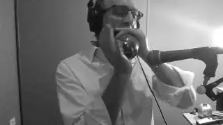 The Harp Wah: Slow blues - Roly Platt