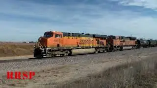 BNSF Manifest at Yuma, Colorado