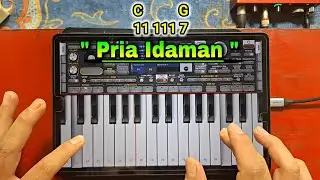 PRIA IDAMAN | Tutorial Pemula ORG 24 MUDAH BGT !!!