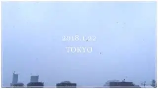 Snowy day (2018.1.22 TOKYO)