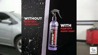 Review - SHINE ARMOR Ceramic Coating Fortify Quick Coat Car