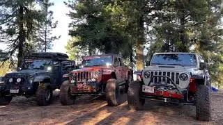 @Jeep Mojo Mojave @warnindustries  Impulse OffRoad Gladiator!