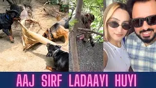 Rottweiler Bubzee Ki Monkey Se & Meri Wife Se Meri Aaj Sirf Ladaayi Huyi