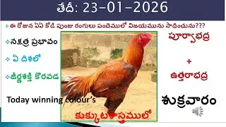 23 January 2026 today winning colours/Today winning colours /vision of kukkuta sastram in colours
