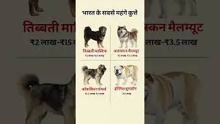 भारत के सबसे महंगे कुत्ते / most expensive dogs of india #shorts #gk #viral