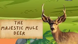 The Mule Deer Annual Mountain Migration
