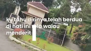 #jalan menuju pasir gedogan Hambalang Jalanan nya indah sekali 👍😃 terimakasih yg sudah subcrabe 🙏