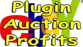 Plugin Auction Profits Reviewed - Does Plugin Auction Profits Really Work?