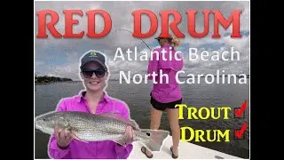 RED DRUM FISHING | Catching Red & Black Drum in Atlantic Beach NC