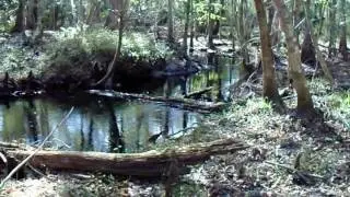 Hal Scott Regional Preserve Trails and Campsites