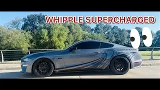 Delivery Day!! Delivery Day!! 2023 Mustang GT  Whipple S/C full StangHi Performance Custom Build