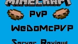 WeDoMCPVP | Server Review!