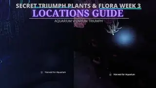 Deep Dive Secrets Locations Guide - Week 3 Destiny 2
