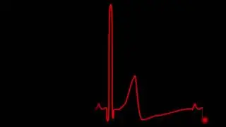 Feel comforted by 4 hours of rhythmic heartbeat sounds