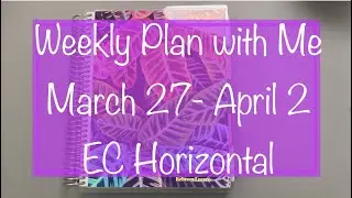 Plan With Me: Erin Condren Horizontal Planner