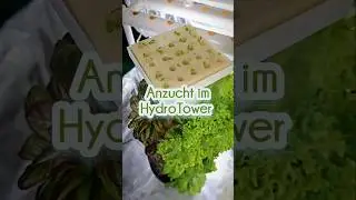 Die Anzuchtstation ist ideal, um neue Pflanzen vorzuziehen, w&auml;hrend dein Hydro-Tower bereits l&auml;uft.