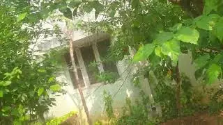 Garden  data analytics organic farming