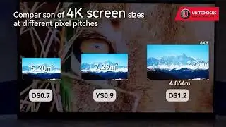 Interior Digital Wall Displays