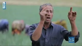 أهلا بهالطلة من عميق...أكبر الأراضي الرطبة في لبنان!