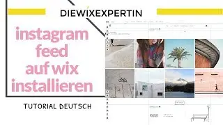 Wie verbinde ich meinen Instagram Feed mit WIX | Tutorial deutsch