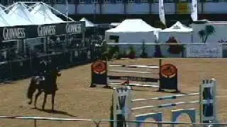 ARDNEHUE DIAMOND CRUISER www.abcsporthorses.com